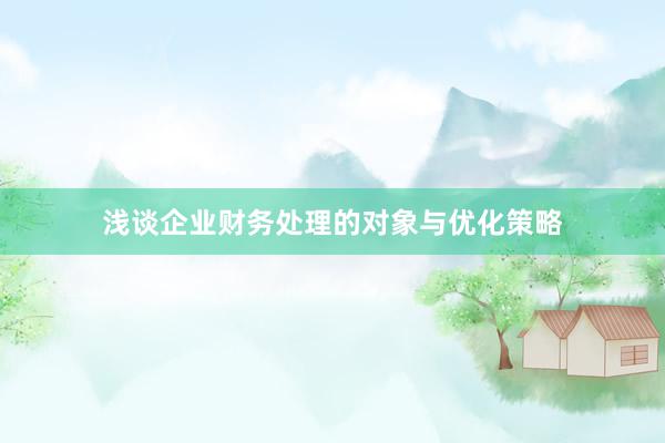 浅谈企业财务处理的对象与优化策略
